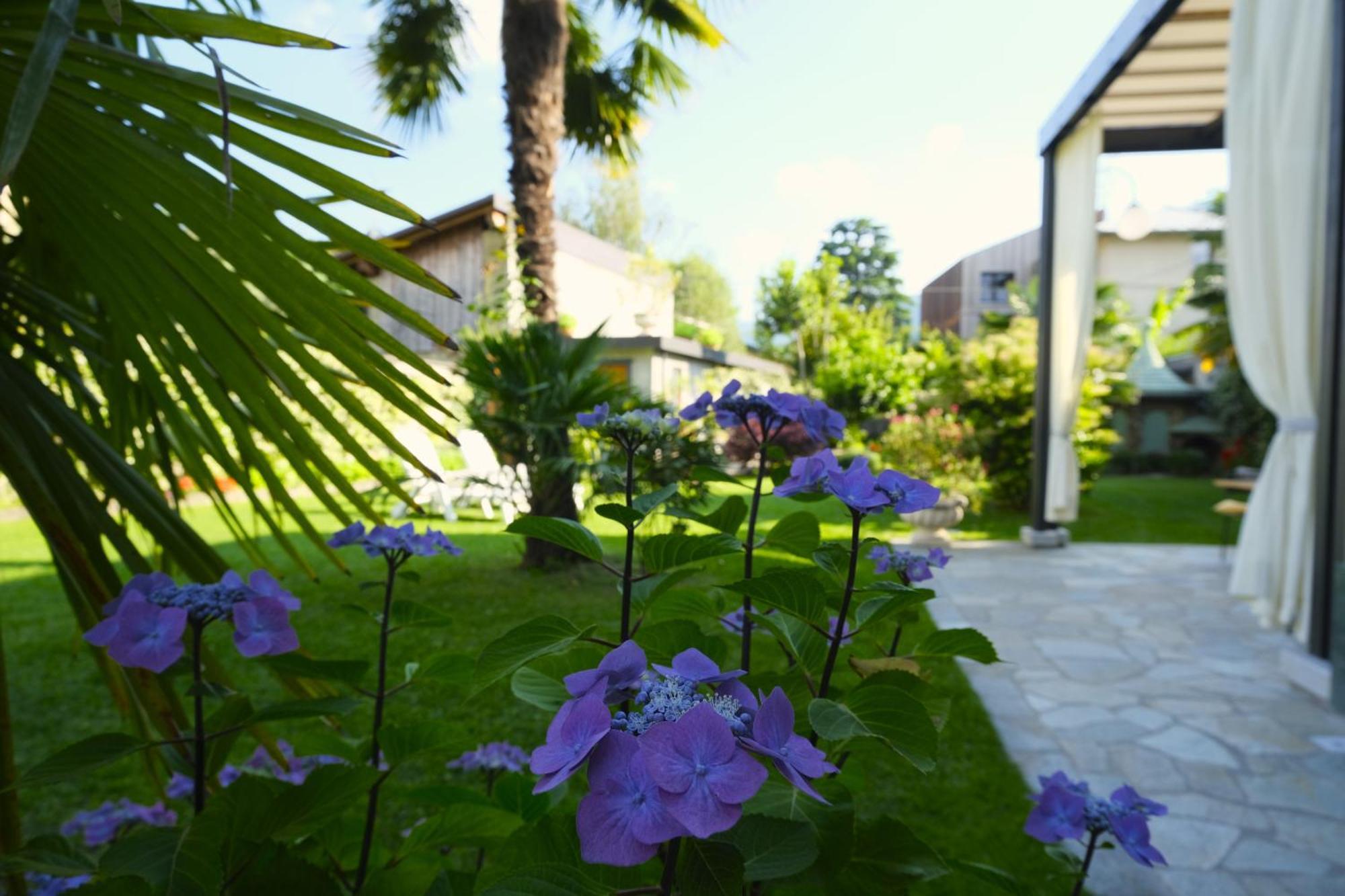 Residenza Laurum 만델로델라리오 외부 사진